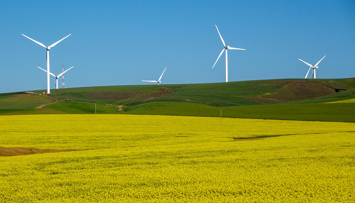 Stocks continue rally on final trading day of Q1 and More Financial News